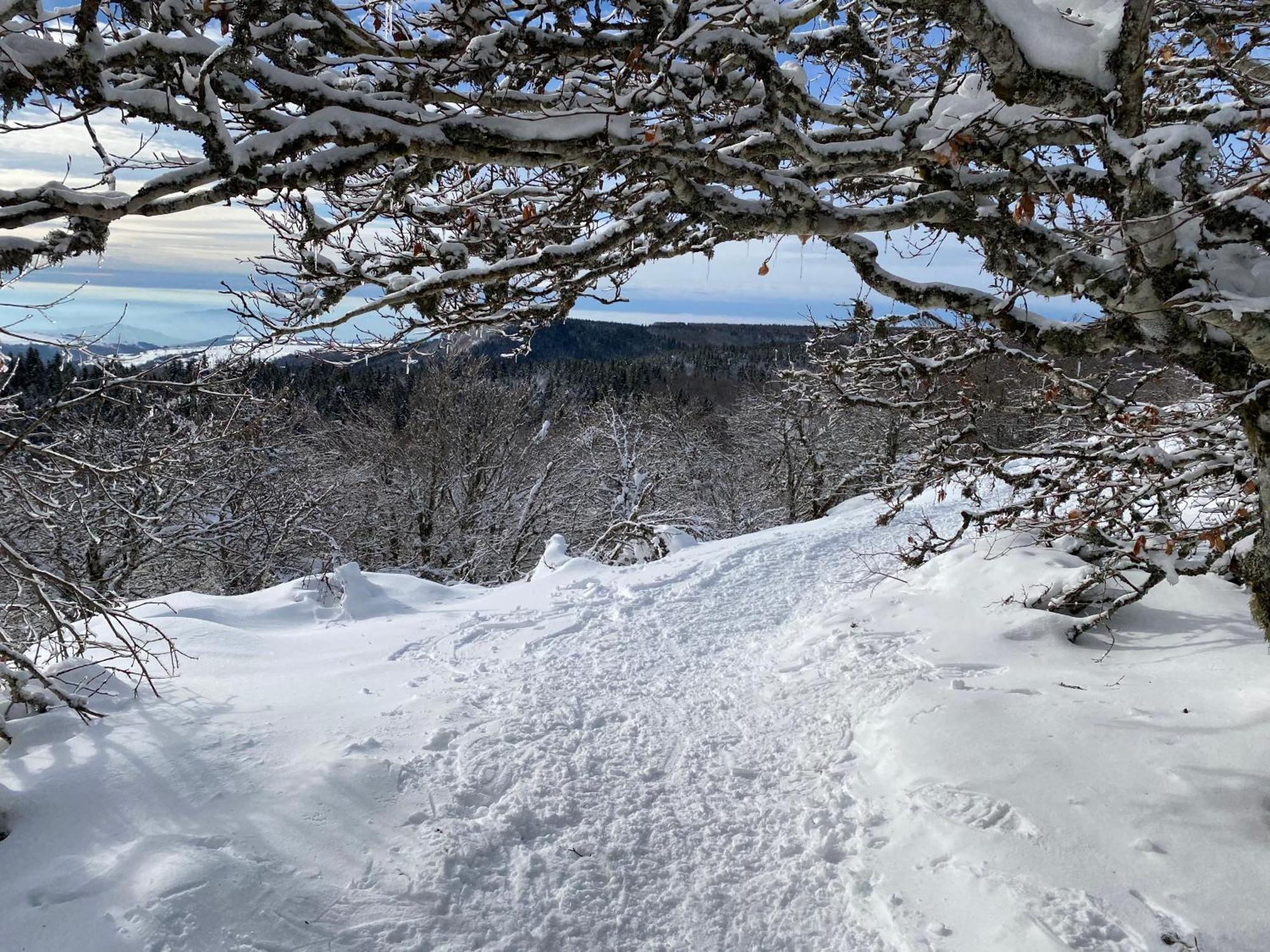 Saint-Saturnin-de-Lenne L'Echappee Belle, Vue Panoramique Sur La Campagneヴィラ エクステリア 写真